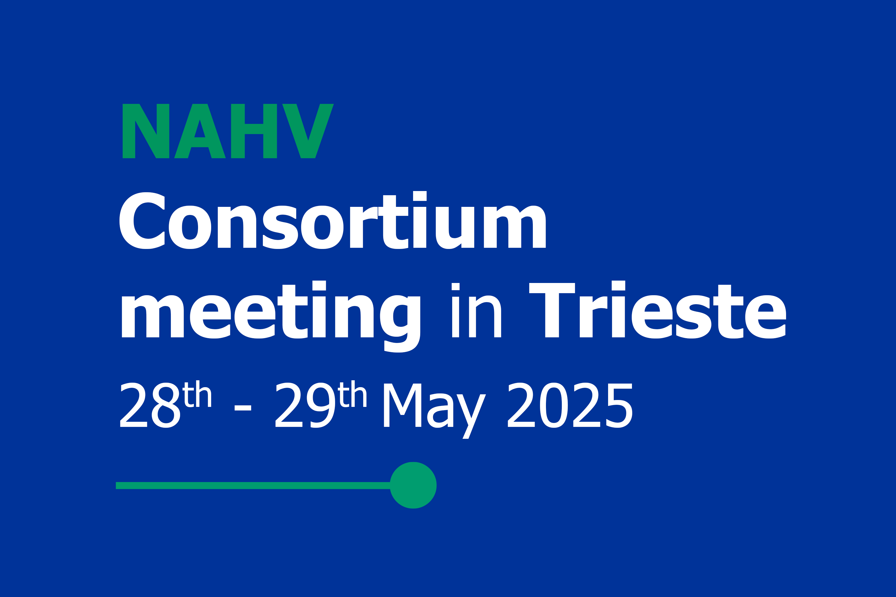 Conortium-meeting-Trieste-2025